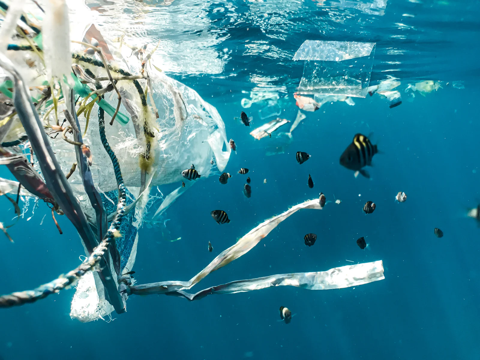 Plastic waste drifting underwater